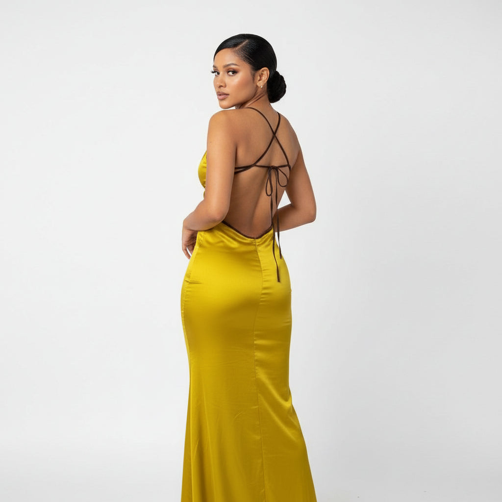 Sexy Backless V-Neck Dress