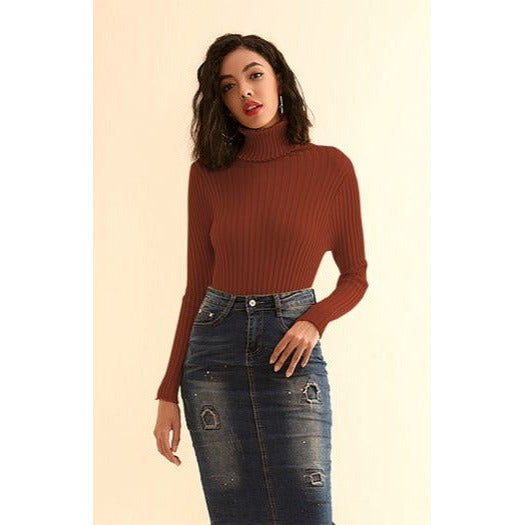 Knitted Polo Neck