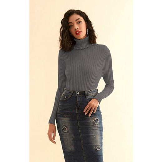 Knitted Polo Neck