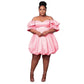 Plus Size Ruffle Bubbles Dress