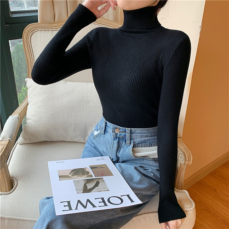 Unisex Turtleneck Long Sleeve Sweatshirt