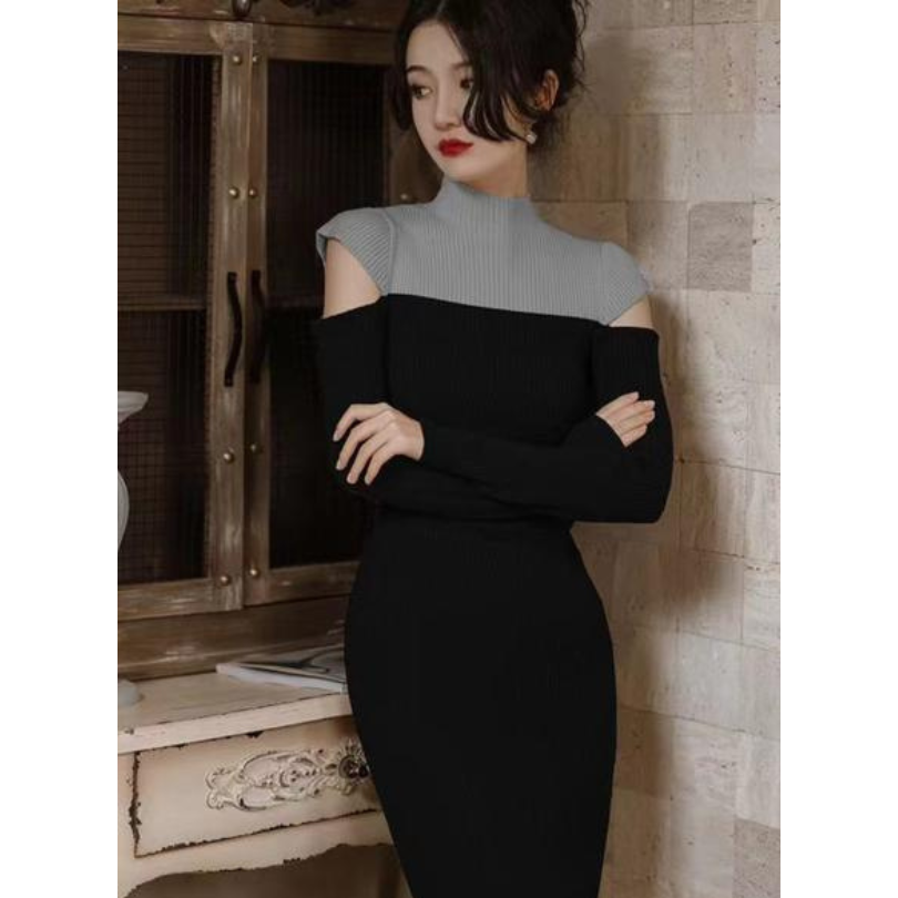 Turtleneck Long Sleeve Dress