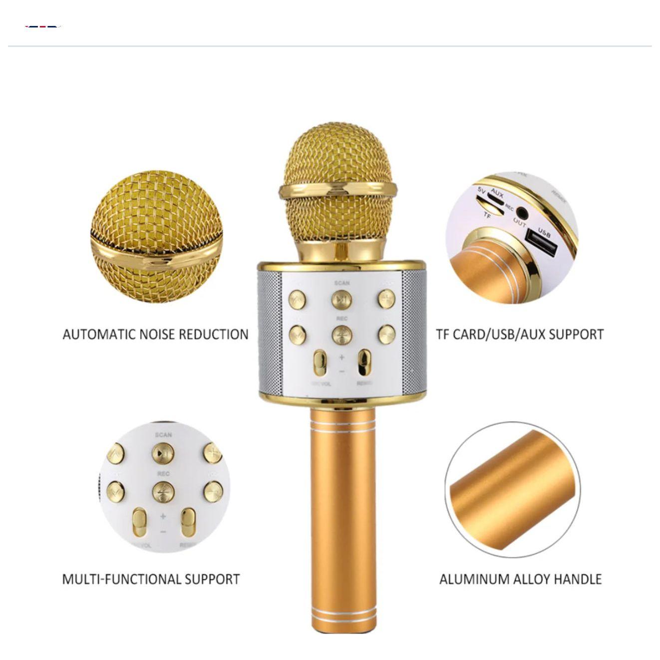 Wireless Karaoke Microphone