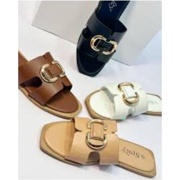 Zapateria Algeria Shoe