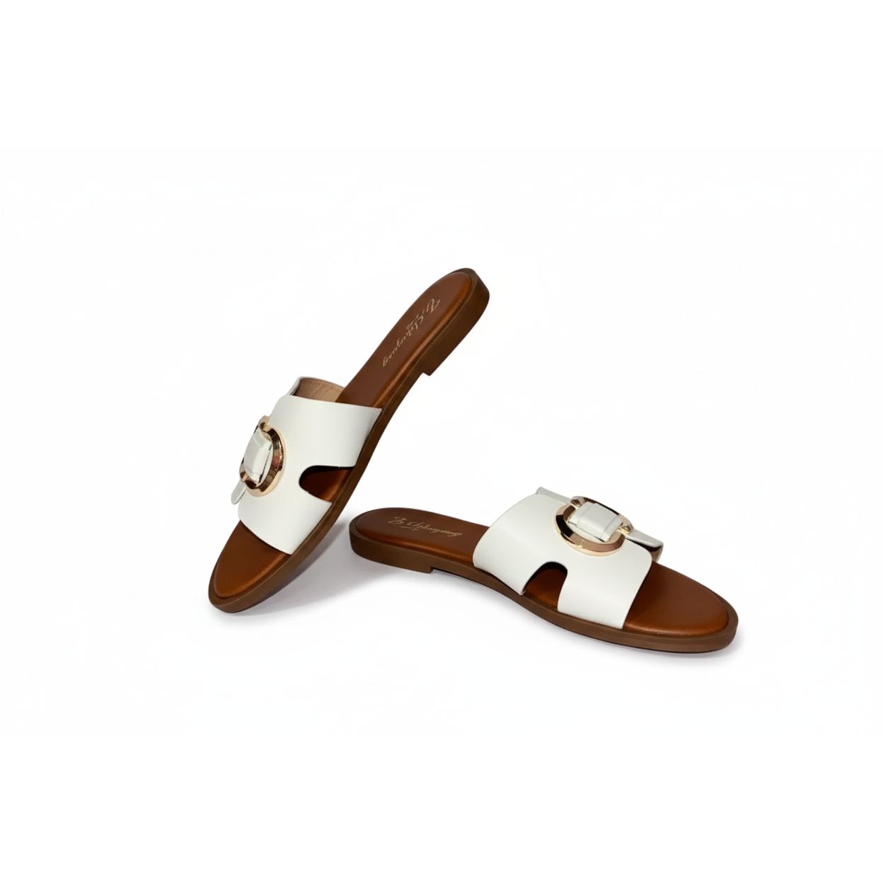 Zapateria Algeria Shoe