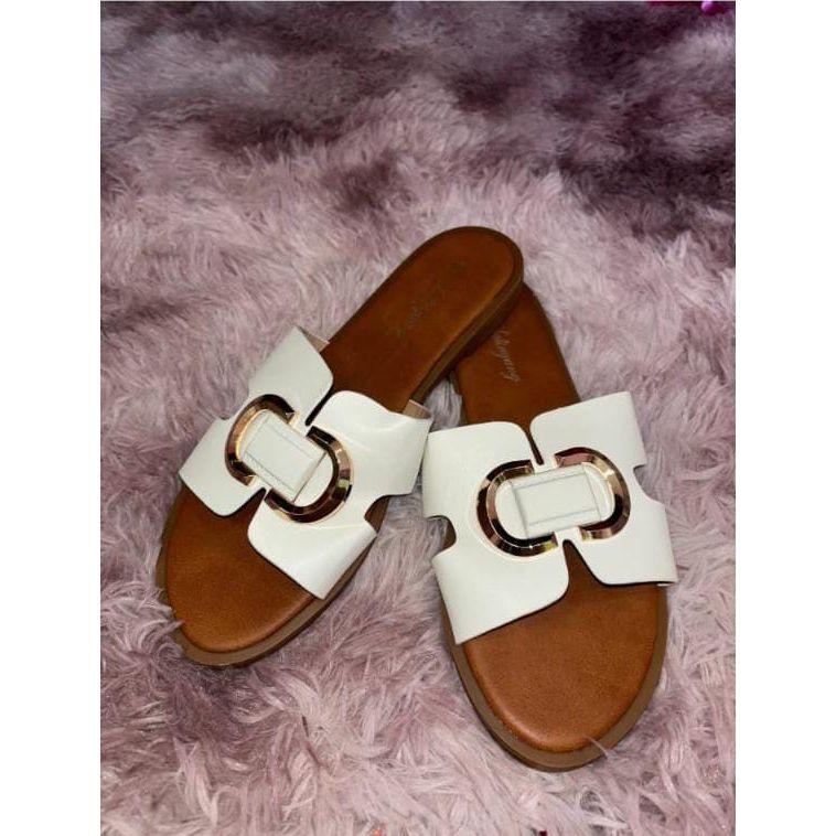 Zapateria Algeria Shoe