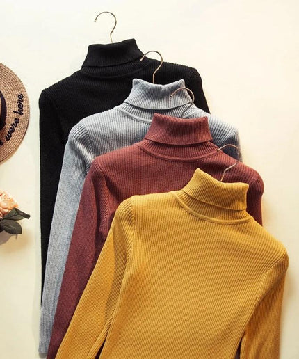 Turtleneck Sweater Polo Neck