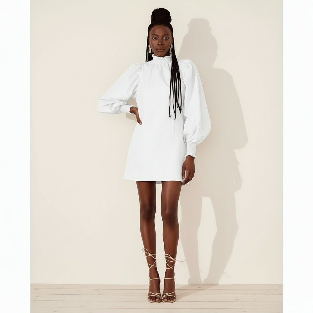 Puff Sleeve Mini Dress 