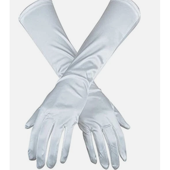 Opera Length Long Hand Gloves