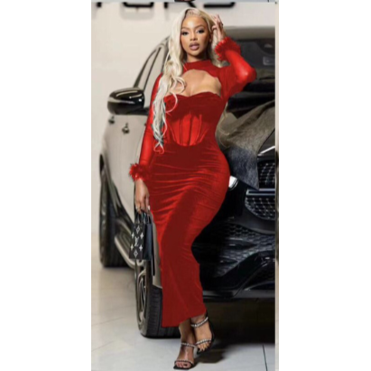 Sexy Feather Sleeves Dress