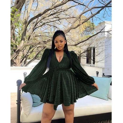 V-Neck Long Sleeve Minin Dress