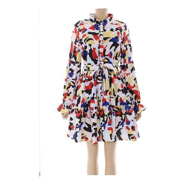 Print Lantern Sleeve Fold Pleat Curved Hem Dress.