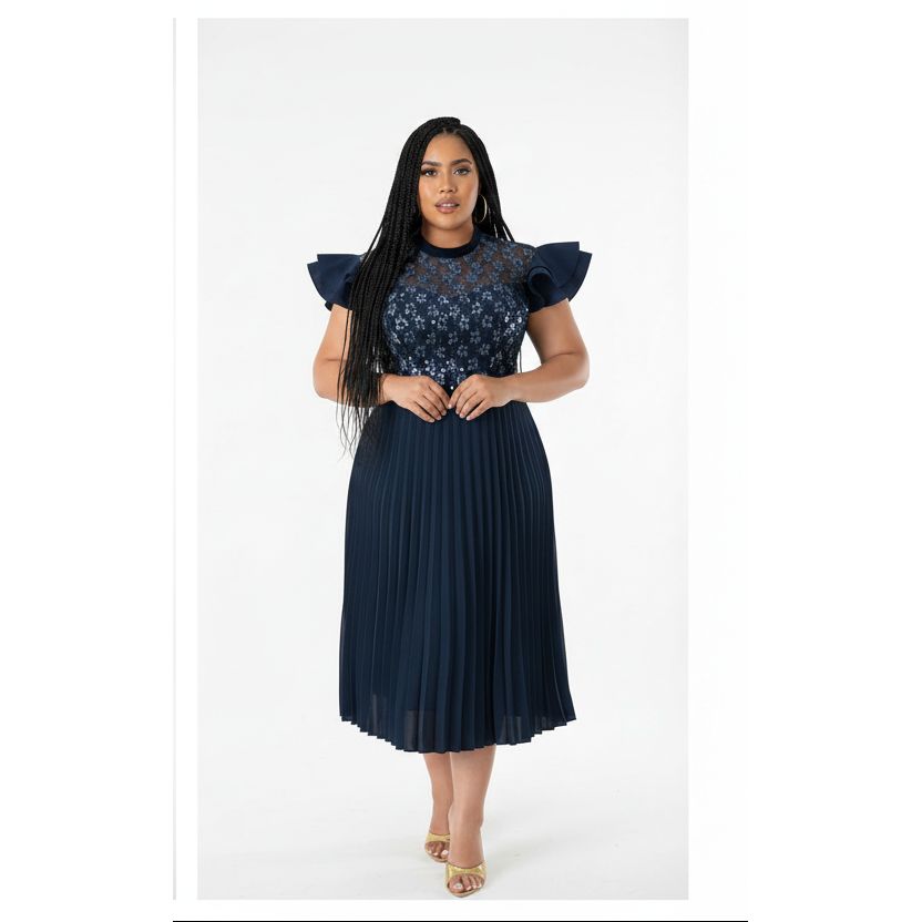 Plus Size Elegant Formal Pleated Dress