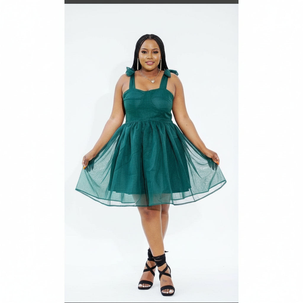 Plain Sexy Sleeveless Lace Dress.