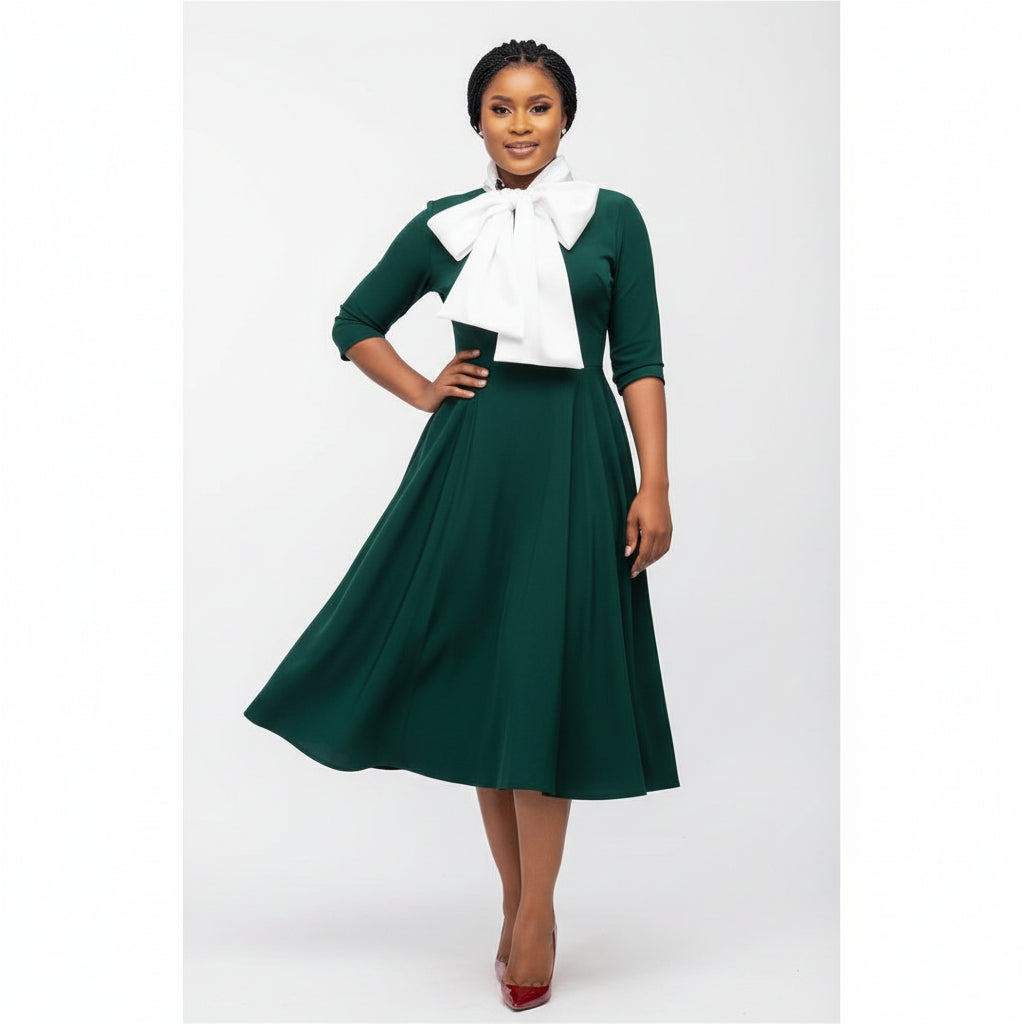 Formal Contrast Decor Collar A-line Dress