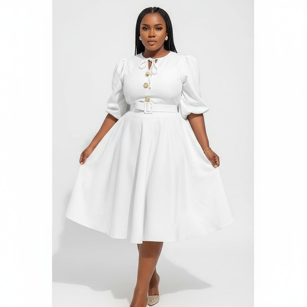 Plus Size 3 Quoter Sleeve Midi Dress