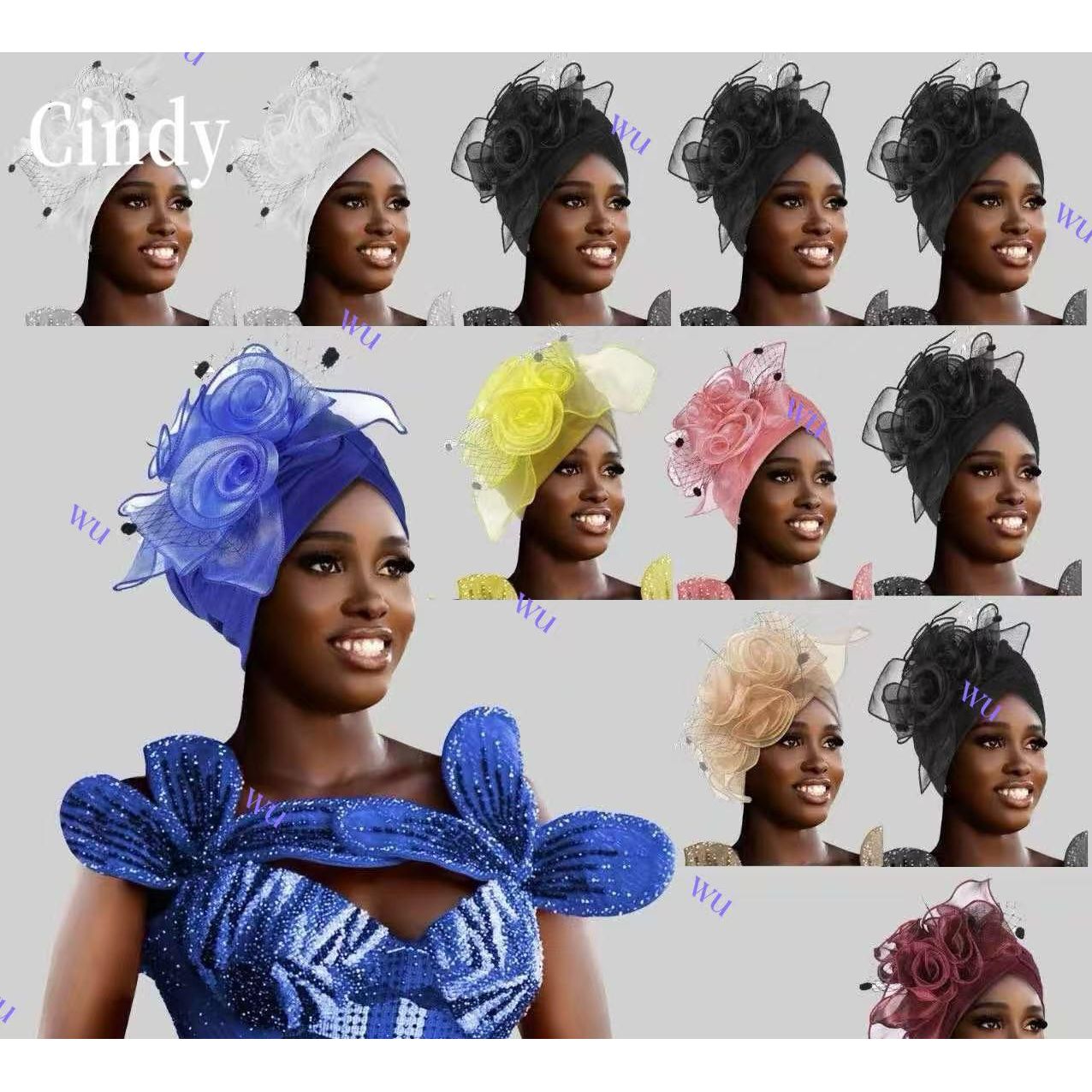 Elegant Women's Fascinator Hat