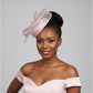 Rhinestone Round Mesh Bow Flower Feather Pointed Fascinator