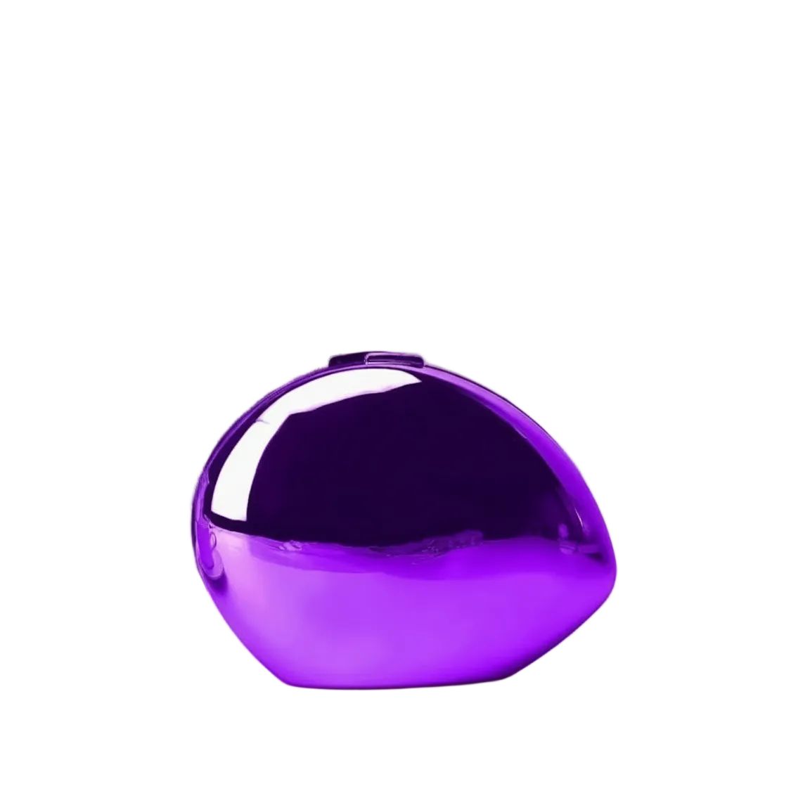 Acrylic Goose Shell Clutch Bag