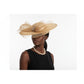 Elegant Mesh & Feathers Sophisticated Hat