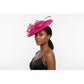 Elegant Mesh & Feathers Sophisticated Hat