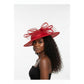 Elegant Mesh & Feathers Sophisticated Hat