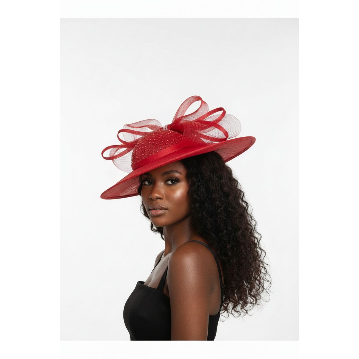 Elegant Mesh & Feathers Sophisticated Hat