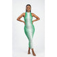 Long Sleeveless Turtleneck Dress