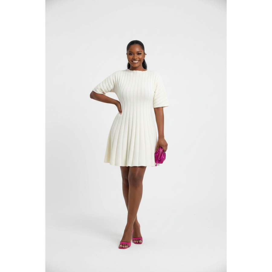 Vertical Ribbed Knit Mini Skater Dress