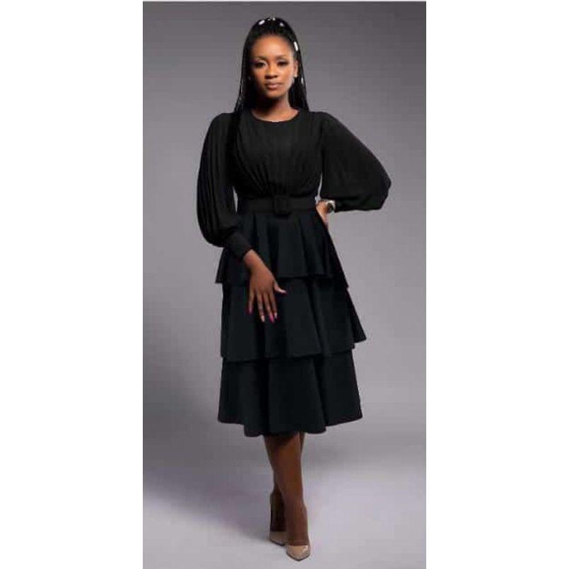 Long Sleeve Pleated High Waist Printed Dress