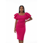 Bodycon Ruffles Sleeves Dress