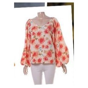 Lantern Sleeve Printing V Neck Floral Print Blouse