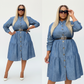 Button detailed Denim Dress