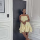Ruffled Chiffon Mini Dress