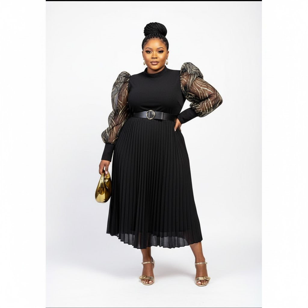 Long Mesh Sleeve Pleated Dress