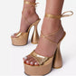 Thick Heel Platform Ankle Strap Shoes