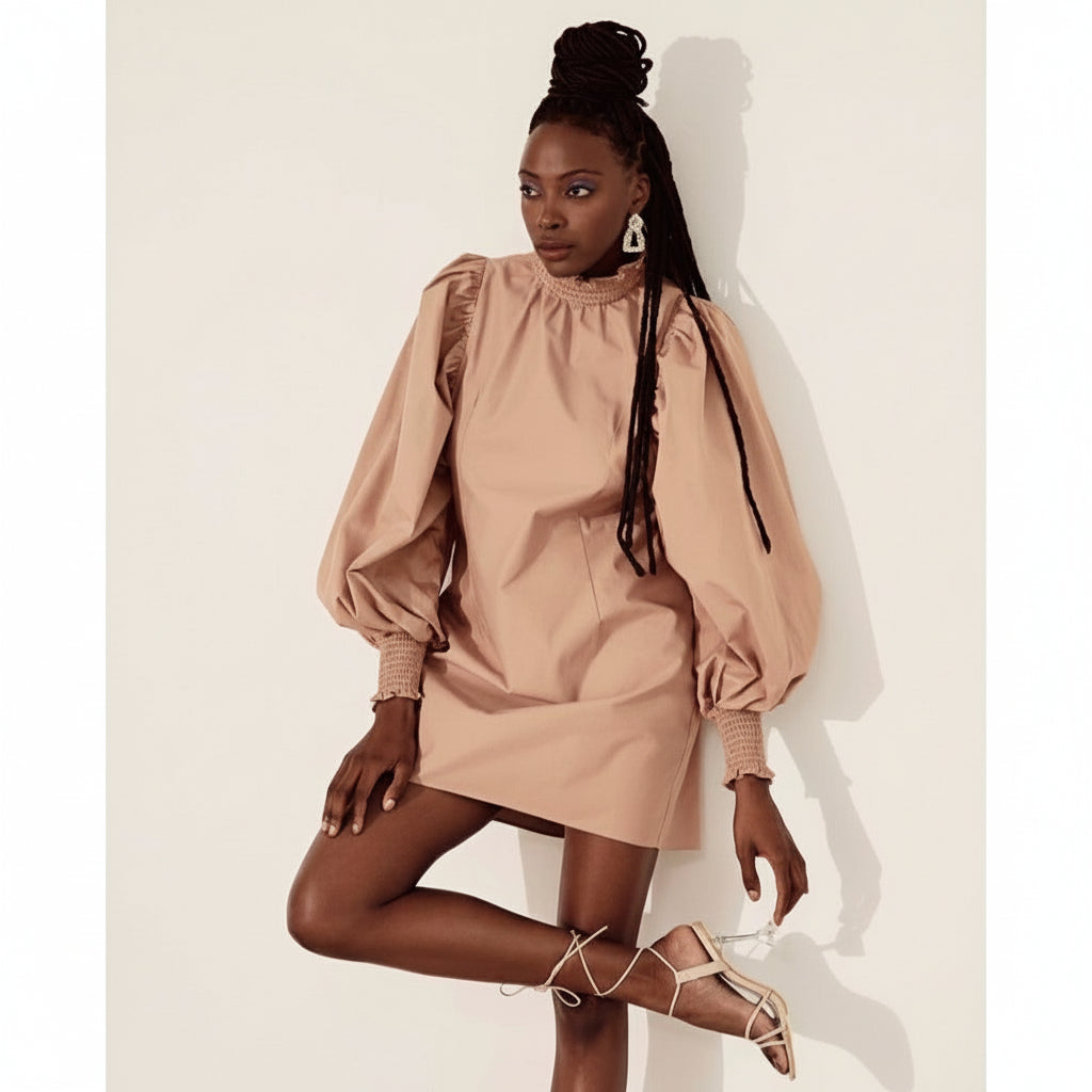 Puff Sleeve Mini Dress 