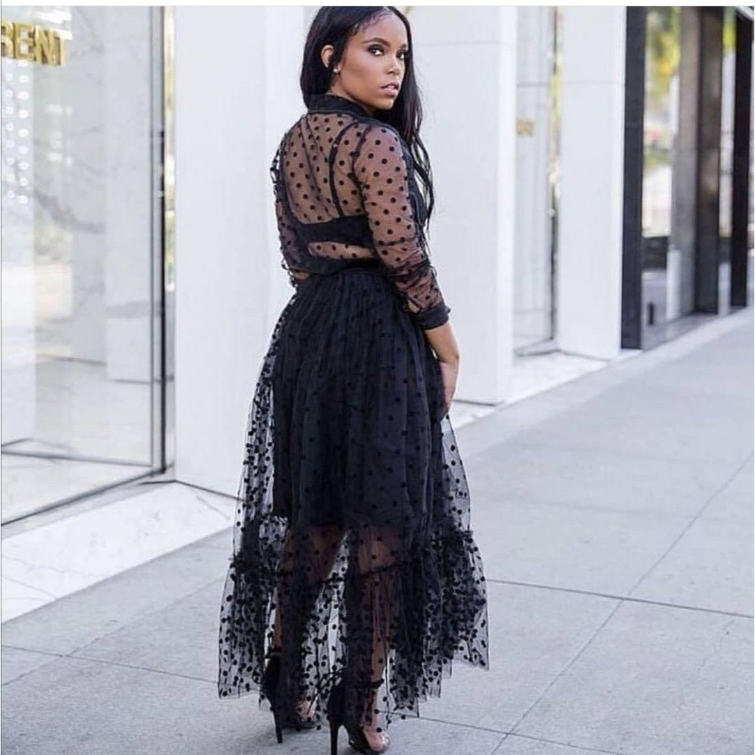 Sheer Polka Dot Dress 