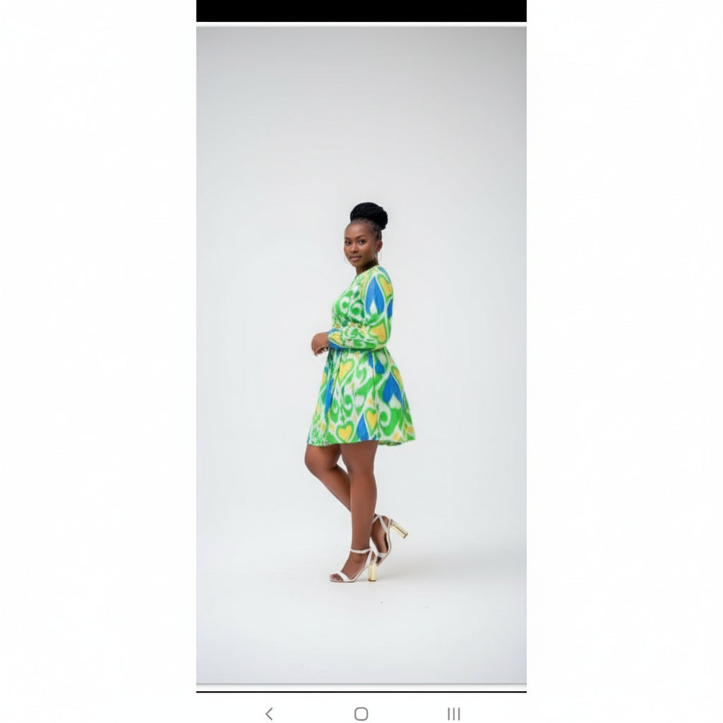 Bowknot Round  Neck Lantern Sleeve Mini Dress