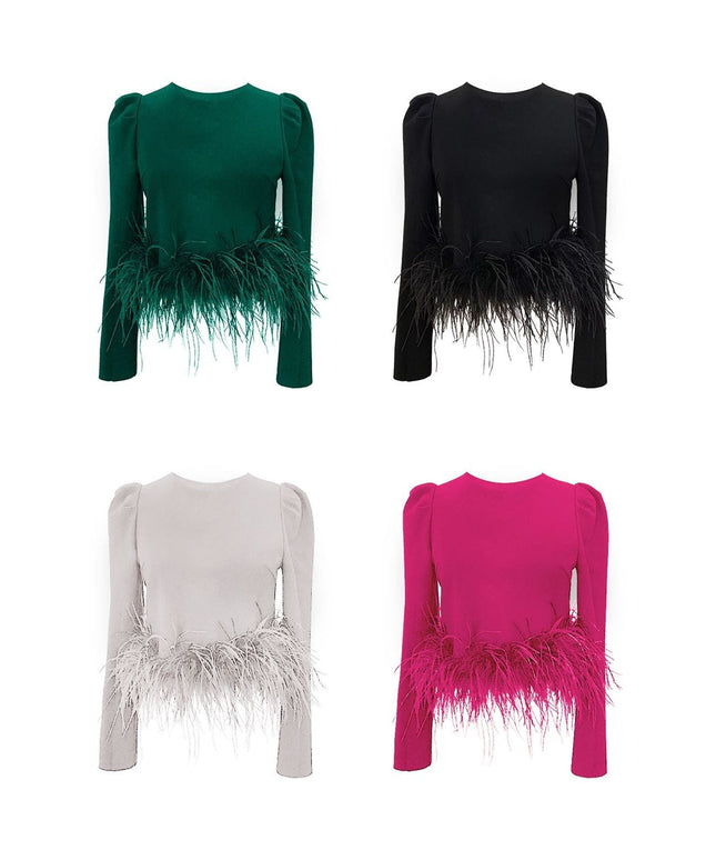 Casual Round Neck Feather Top