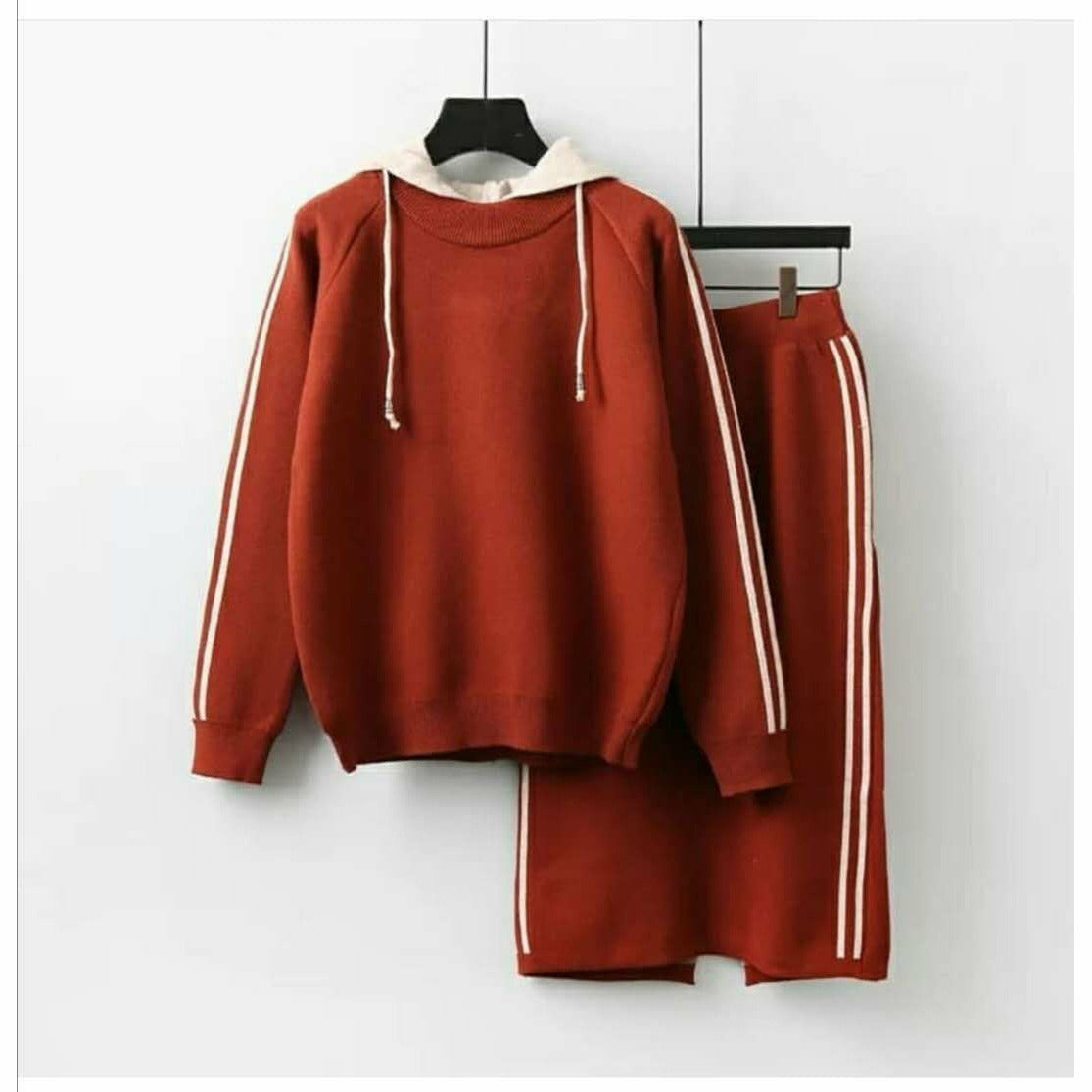 Hooded Top and Skirt Sweater Set 